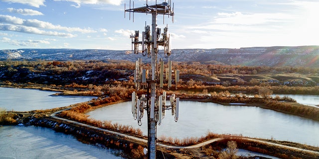 A cellular phone tower rises high above a neighborhood. (iStock)