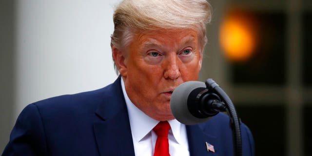 President Donald Trump speaks about the coronavirus in the Rose Garden of the White House, Tuesday, April 14, 2020, in Washington. (AP Photo/Alex Brandon)