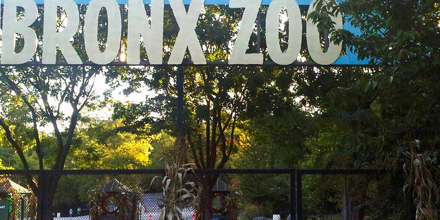 FILE - This Sept. 21, 2012, file photo shows an entrance to the Bronx Zoo in New York. A tiger at the zoo has tested positive for the new coronavirus.(AP Photo/Jim Fitzgerlad, File)