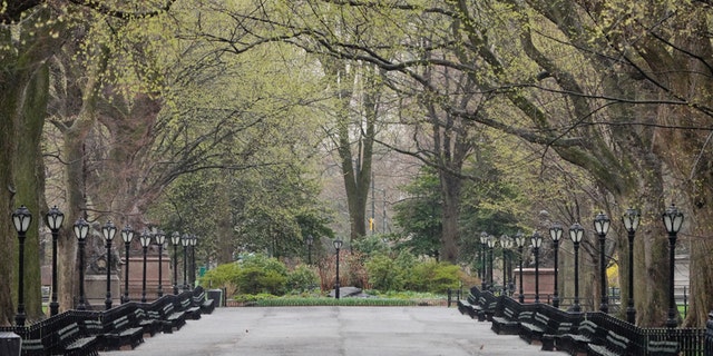 A New York City councilman said if the number of coronavirus deaths overwhelms morgues, a contingency plan would use a city park for