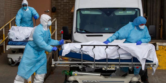 Medical personnel wearing personal protective equipment remove bodies from the Wyckoff Heights Medical Center Thursday, April 2, 2020 in the Brooklyn borough of New York City. (AP Photo/Mary Altaffer)