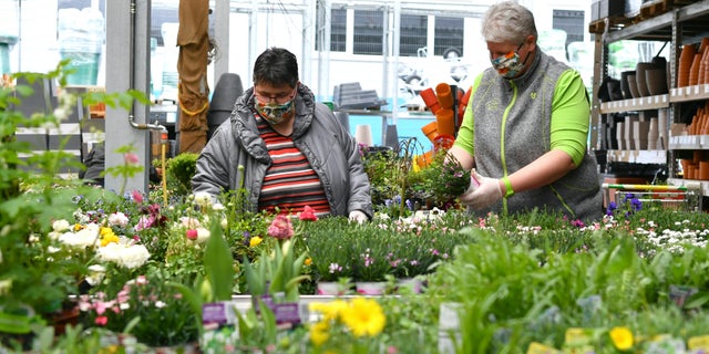 People with protective masks look for flowers in a garden center in Saalfelden, the Austrian province of Salzburg, Tuesday, April 14, 2020. Smaller Austrian shops may reopen with special protective measures from Tuesday on. The Austrian government has moved to restrict freedom of movement for people, in an effort to slow the onset of the COVID-19 coronavirus.<br />
(AP Photo/Kerstin Joensson)”></picture></div>
<div class=