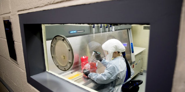 Laboratory scientist Andrea Luquette cultures coronavirus back in March to prepare for testing at U.S. Army Medical Research and Development Command at Fort Detrick in Frederick, Md., where scientists are working to help develop solutions to prevent, detect and treat the coronavirus. (AP Photo/Andrew Harnik, File)