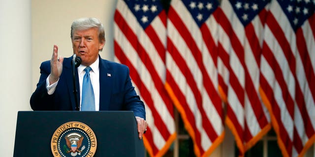 President Donald Trump speaks about the coronavirus in the Rose Garden of the White House, Wednesday, April 15, 2020, in Washington. (AP Photo/Alex Brandon)