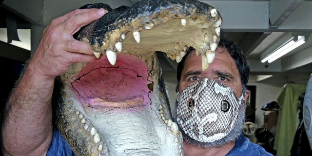 Brian Wood holds an alligator head as he wears a mask made from an invasive Florida python snake in his workshop in Dania, Fla on April 8. (Charles Trainor, Jr./Miami Herald via AP)