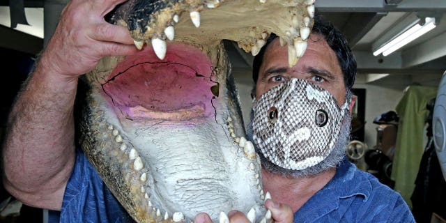 Brian Wood holds an alligator head as he wears a mask made from an invasive Florida python snake in his workshop in Dania, Fla on April 8. (Charles Trainor, Jr./Miami Herald via AP)