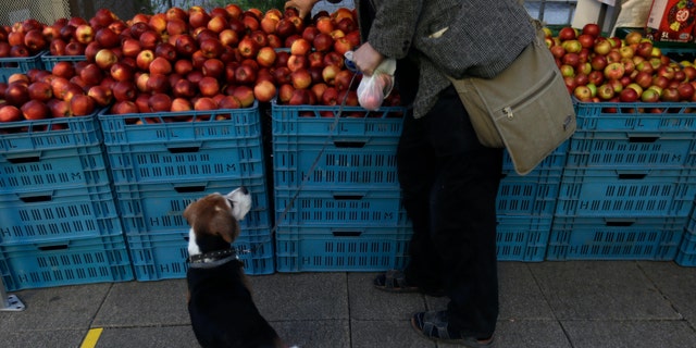 A man shops for apples as the farmers markets open in Prague, Czech Republic, Monday, April 20, 2020. Czech Republic has started to ease some of the restrictions that were applied in efforts to stem the spread of the new coronavirus. (AP Photo/Petr David Josek)
