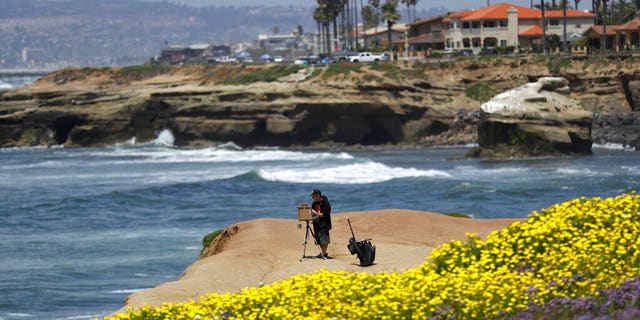 Brett Berndes paints at Sunset Cliffs Natural Park, after portions of the park opened Tuesday, April 21, 2020, in San Diego.l)