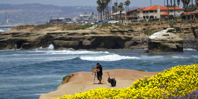 Brett Berndes paints at Sunset Cliffs Natural Park, after portions of the park opened Tuesday, April 21, 2020, in San Diego.l)