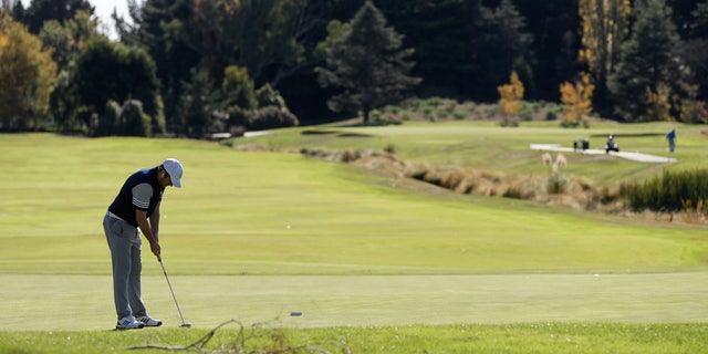A man prepares to putt on a green at a golf course as level four COVID-19 restrictions are eased in Christchurch, New Zealand, Tuesday, April 28, 2020. New Zealand eased its strict lockdown restrictions to level three at midnight to open up certain sections of the economy but social distancing rules will still apply. 