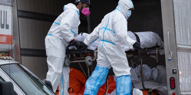 Workers move bodies to a refrigerated truck from the Andrew T. Cleckley Funeral Home in the Brooklyn borough of New York on April 29. Police responded to a report of human bodies in vehicles, which they determined were connected to the nearby funeral home. The New York Police Department notified the state Department of Health, which oversees funeral homes. The coronavirus pandemic has overrun most funeral homes and morgues in New York City. 