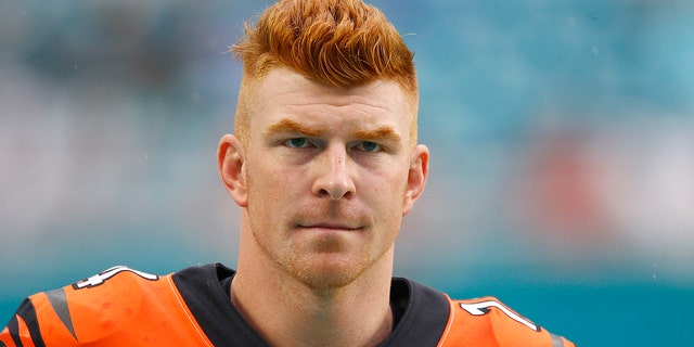 Could the Patriots find their 2020 starting quarterback? (Photo by Michael Reaves/Getty Images)