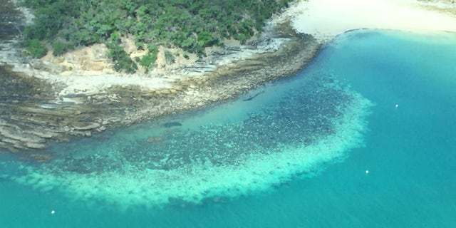 The largest bleaching at Australia's Great Barrier reef has been observed by scientists.
