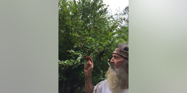 Phil Robertson is sharing his wisdom in a 32-episode special titled 'In the Woods with Phil.'
