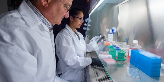 Director of Wistar’s Vaccine &amp; Immunotherapy Center Dr. David Weiner (left) oversees the work of research assistant professor Dr. Ami Patel, prior to COVID-19 pandemic. 
