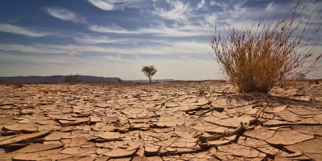 Scientists estimated the prevalence of extreme events, like droughts, in a new study. (iStock)