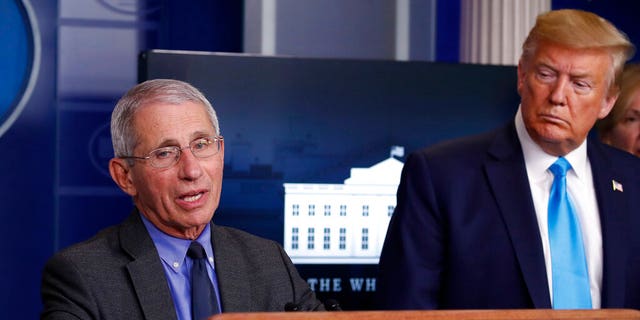 President Donald Trump listens as Dr. Anthony Fauci speaks about the coronavirus in the James Brady Press Briefing Room of the White House, Tuesday, April 7, 2020, in Washington. (AP Photo/Alex Brandon)