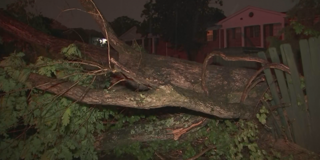 In addition to heavy rain, the morning storms brought damaging winds and hail, which toppled trees and scattered debris along roadways