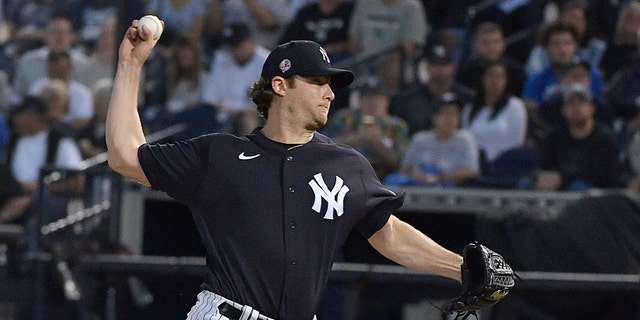 Gerrit Cole was the Yankees' prized free agent over the winter (Photo by Mark Brown/Getty Images)