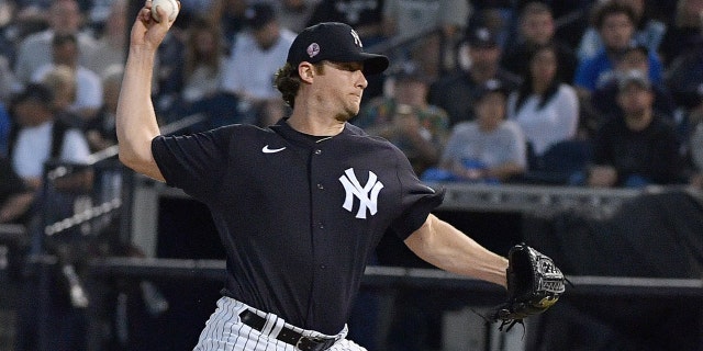 Gerrit Cole was the Yankees' prized free agent over the winter (Photo by Mark Brown/Getty Images)