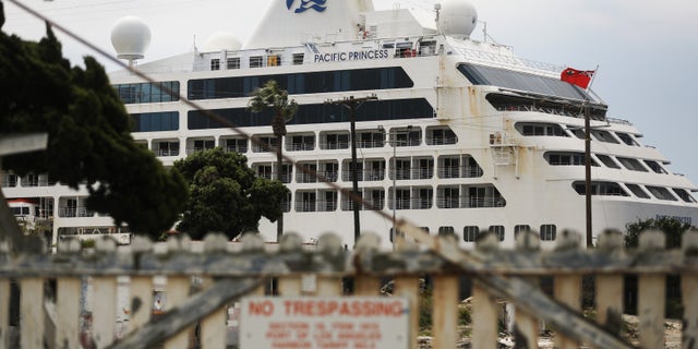Last week, Princess Cruises announced that it was extending the initial suspension of all voyages through June 30, 2020 amid the continued coronavirus health crisis. (Mario Tama/Getty Images)