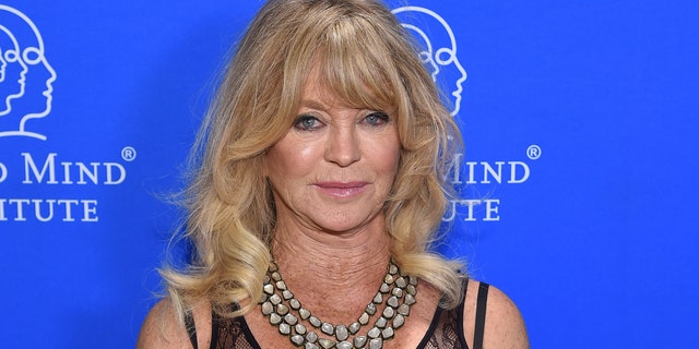 Honoree Goldie Hawn attends the Child Mind Institute's 2019 Change Maker Awards at Carnegie Hall on May 1, 2019 in New York City. 