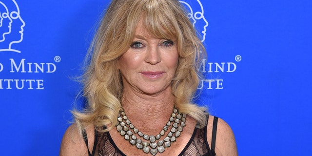 Goldie Hawn said America has ‘failed’ its children in an op-ed written for USA Today.