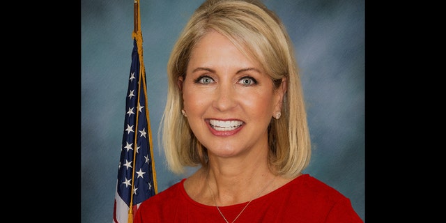 Mary Miller is a Republican candidate in Illinois' 5th Congressional District.