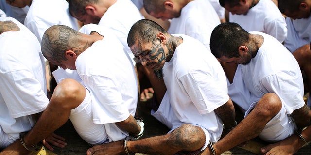 Mara Salvatrucha (MS-13) gang members wait to be escorted upon their arrival at the maximum-security jail in Zacatecoluca, El Salvador, June 22, 2017.