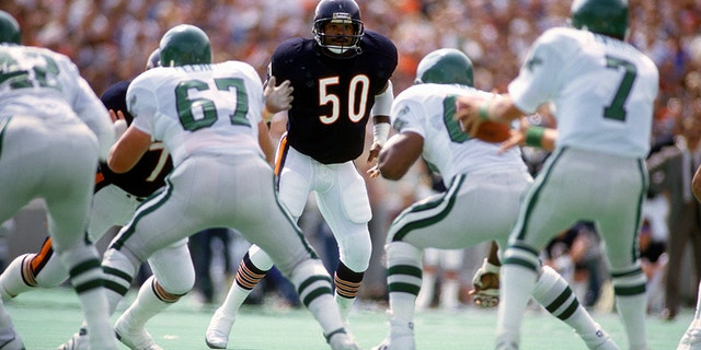 CHICAGO, IL - SEPTEMBER 14: Mike Singletary #50 of the Chicago Bears in action against the Philadelphia Eagles during an NFL football game on September 14, 1986, at Soldier Field in Chicago, Illinois. Singletary played for the Bears from 1981-92. (Photo by Focus on Sport/Getty Images)