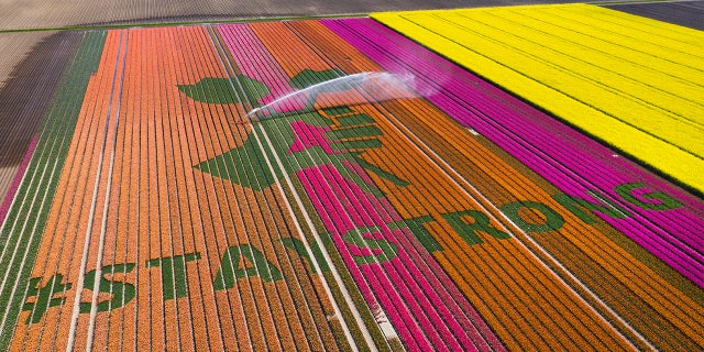 April 26, 2020: Nursery S. Schouten used?a field of tulips in Bant, Netherlands to display a message of hope.?