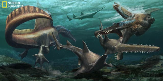 Two SpinosaurushuntOnchopristis, a prehistoric sawfish, in the waters of the Kem Kem river system in what is now Morocco. (JasonTreat, NG Staff, and Mesa Schumacher Art: Davide Bonadonna)