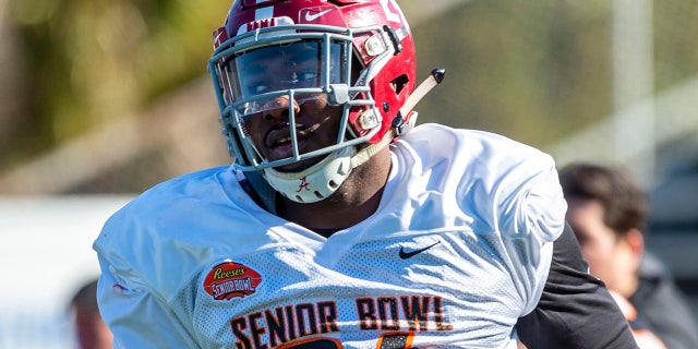 The Rams took Terrell Lews. (Vasha Hunt-USA TODAY Sports)
