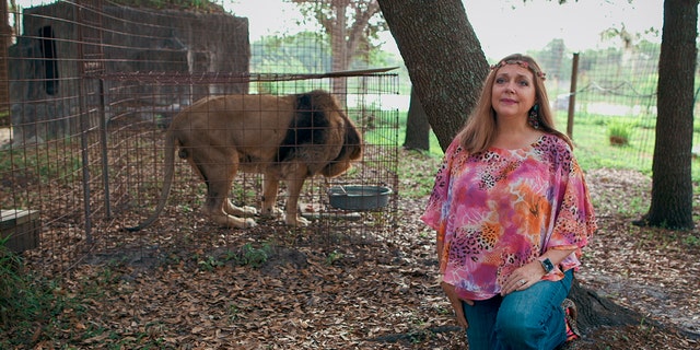 Carole Baskin of Big Cats Rescue is now denying she played a role in her former husband Don Lewis' death.