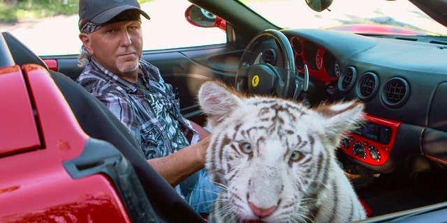 'Tiger King' star Jeff Lowe poses for a photo with a tiger in one of his vehicles.