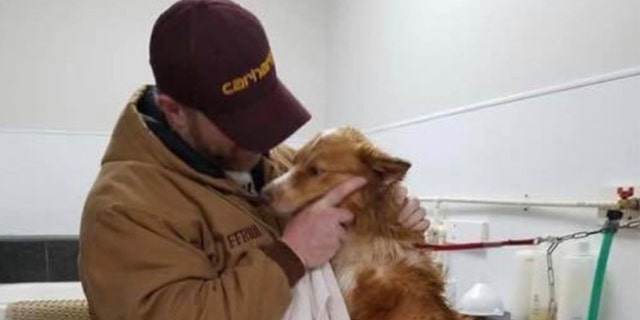 In this image taken Sunday, Bella, an Australian shepherd, is held by her owner Eric Johnson in Cookeville, Tenn. The dog was found Sunday after being missing for 54 days following a tornado that ravaged Putnam County and flattened the Johnson’s family home in early March.