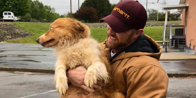 In this image taken Sunday, Bella, an Australian shepherd, is held by her owner Eric Johnson in Cookeville, Tenn. The dog was found Sunday after being missing for 54 days following a tornado that ravaged Putnam County and flattened the Johnson’s family home in early March.