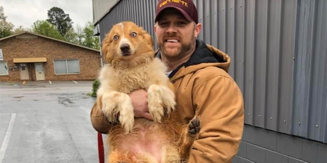 In this image taken Sunday, Bella, an Australian shepherd, is held by her owner Eric Johnson in Cookeville, Tenn. The dog was found Sunday after being missing for 54 days following a tornado that ravaged Putnam County and flattened the Johnson’s family home in early March.