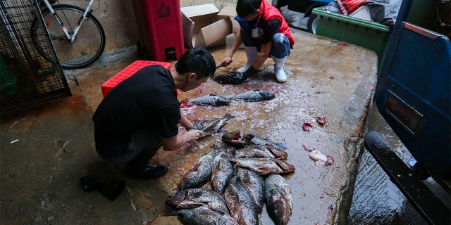 Seafood at Aberdeen Wet Market. (Chen Xiaomei/South China Morning Post via Getty Images)