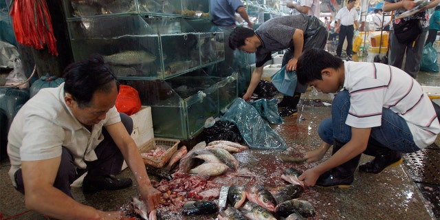 Chinese seafood vendors prepare fresh fish at a wet market in Beijing. (TEH ENG KOON/AFP via Getty Images)