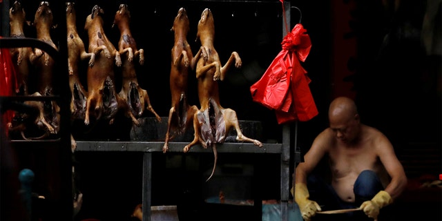Butchered dogs displayed for sale at a stall inside a meat market during the local dog meat festival, in Yulin, Guangxi Zhuang Autonomous Region, China. (REUTERS/Tyrone Siu/File Photo)