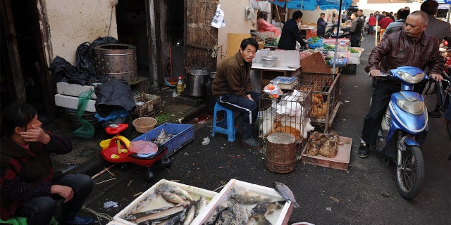 Vendors sell fish and poultry at an outdoor wet market in Shanghai's northern district of Zhabei. (PETER PARKS/AFP via Getty Images)