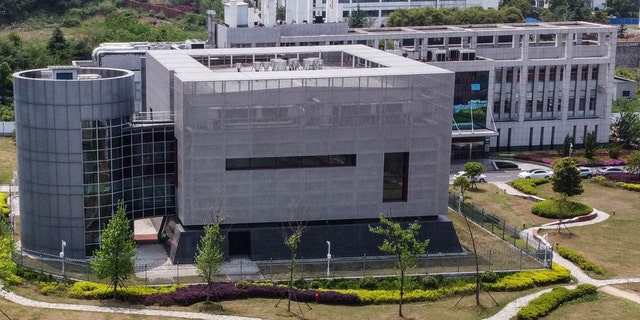 An aerial view shows the P4 laboratory at the Wuhan Institute of Virology in Wuhan in China's central Hubei province on April 17, 2020. - The P4 epidemiological laboratory was built in co-operation with French bio-industrial firm Institut Merieux and the Chinese Academy of Sciences. The facility is among a handful of labs around the world cleared to handle Class 4 pathogens (P4) - dangerous viruses that pose a high risk of person-to-person transmission. 