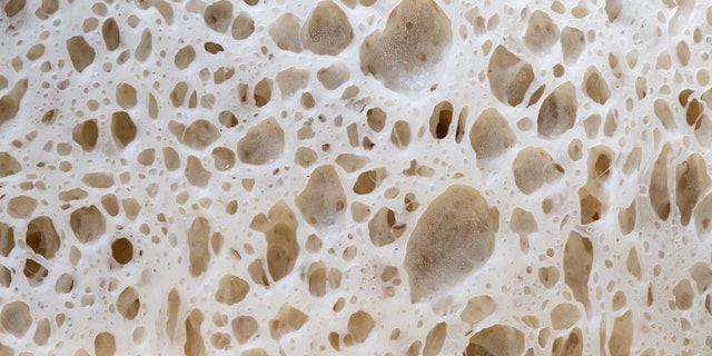Yeast is a “key player” in fermentation, Philip says, and fermentation produces gases that improve the texture of bread, and make it rise.