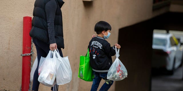 An adult and a child, both wearing face masks amid the coronavirus outbreak, carry bags in the Chinatown neighborhood of Los Angeles, Calif., on April 2, 2020. (AP Photo/Damian Dovarganes, File)