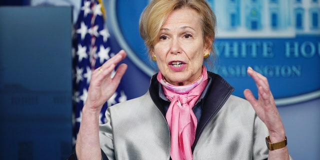 Instagram account celebrates Dr. Deborah Birx's signature scarves ...