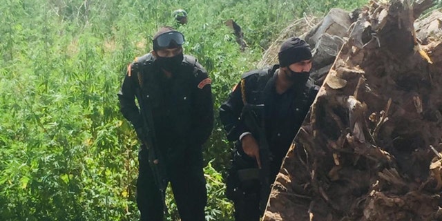 Authorities respond after an officer had his hand hacked off during an attack Sunday while he was trying to enforce the coronavirus lockdown. The attackers then hid in a Sikh temple, causing standoff that lasted several hours.