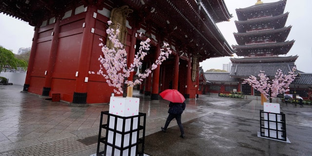 A woman walks in the empty Asakusa district Monday, April 13, 2020, in Tokyo.