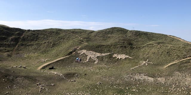 The impressive gallery was produced using random pieces of stone and is meant as a thank you to health workers who helped the family deal with Thomas' epilepsy. A T. rex, a Triceratops and a Velociraptor are among the designs laid out by the Bookers at the spot near Stroud, Glos. (Credit: SWNS)
