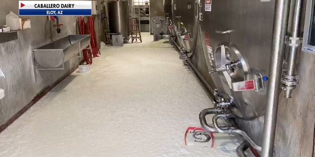 The Coronavirus pandemic has forced dairy farmers across the U.S. to dump their milk as sales have taken a huge hit. Craig Caballero’s Dairy farm in Eloy, AZ had to dump their milk last week (Caballero Dairy).